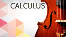 แคลคูลัส